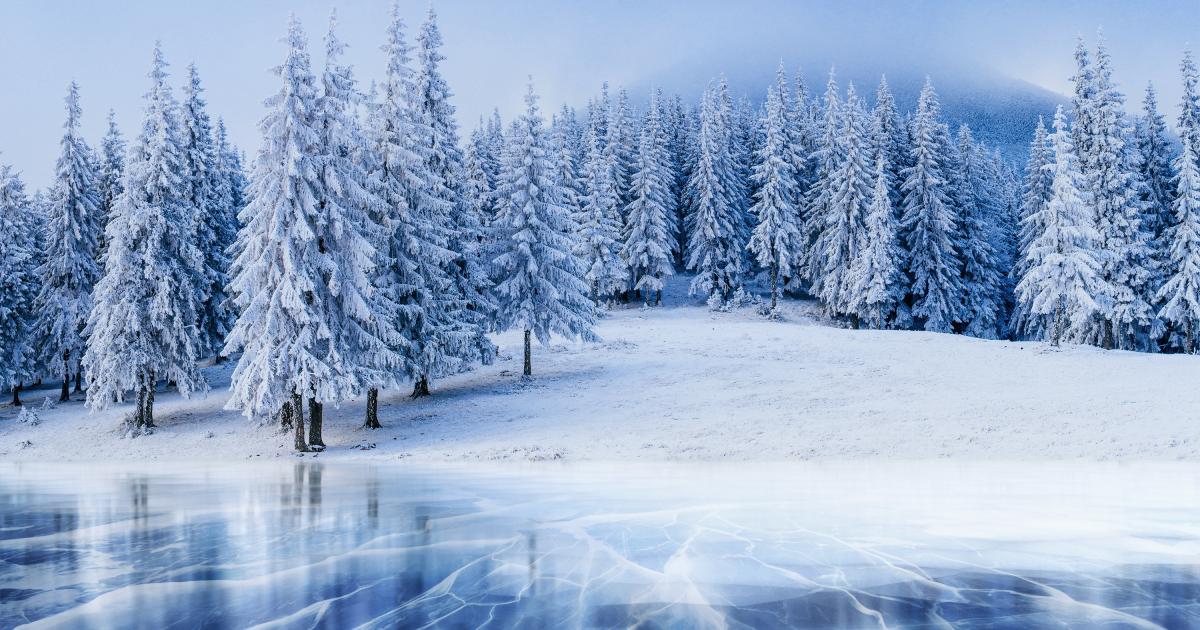 WINTER