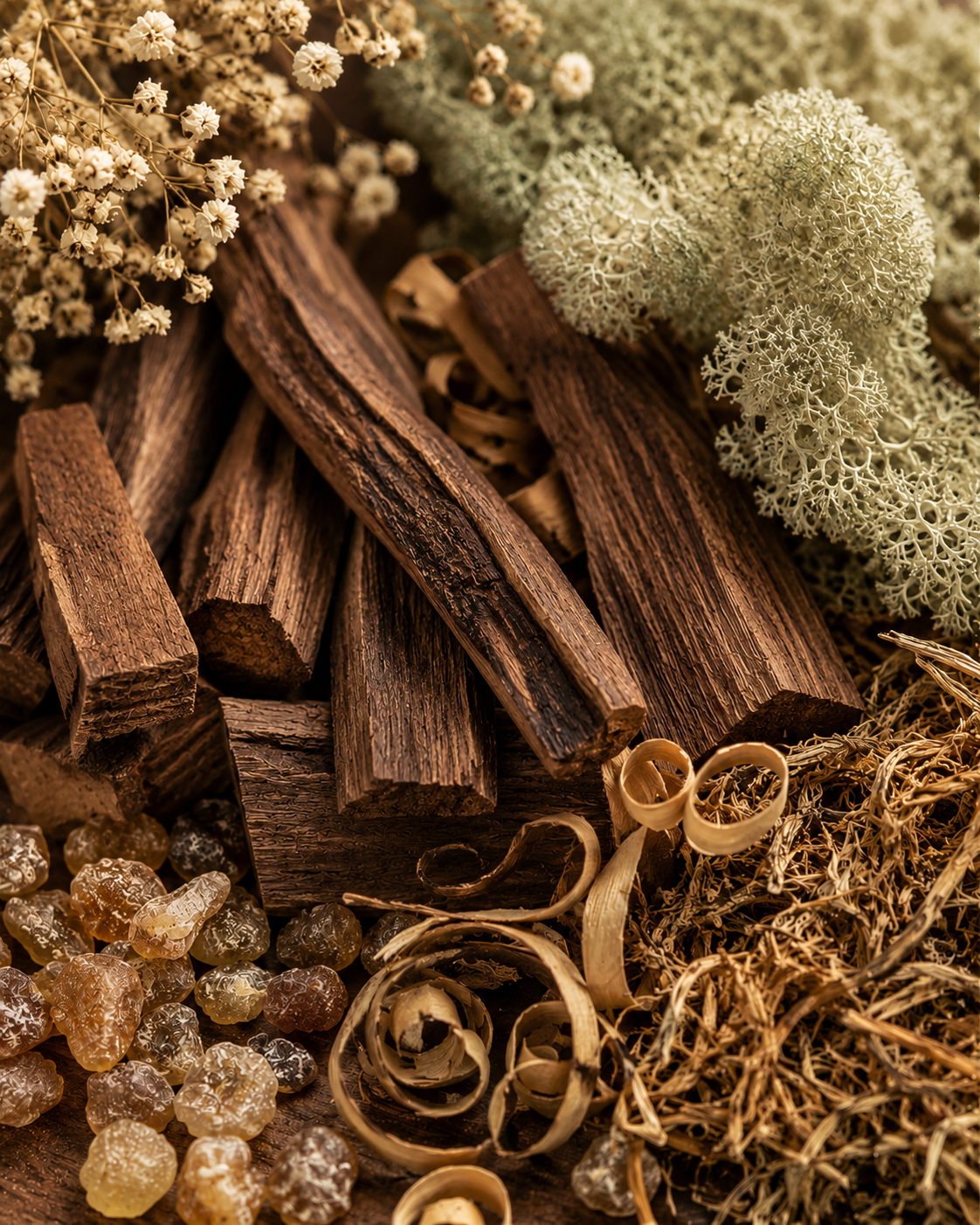 Woody & Musky Fragrance Oils